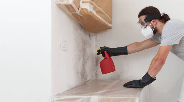 Professional Bathroom Mold Removal technician working in Howard, PA