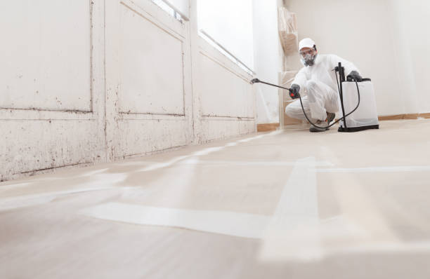 24/7 Emergency Bathroom Mold Removal experts in Howard, PA