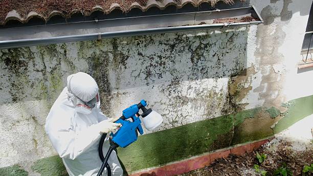 Top rated local Bathroom Mold Removal specialists in Howard, PA